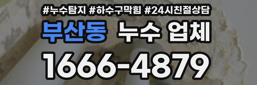 부산동 누수 업체