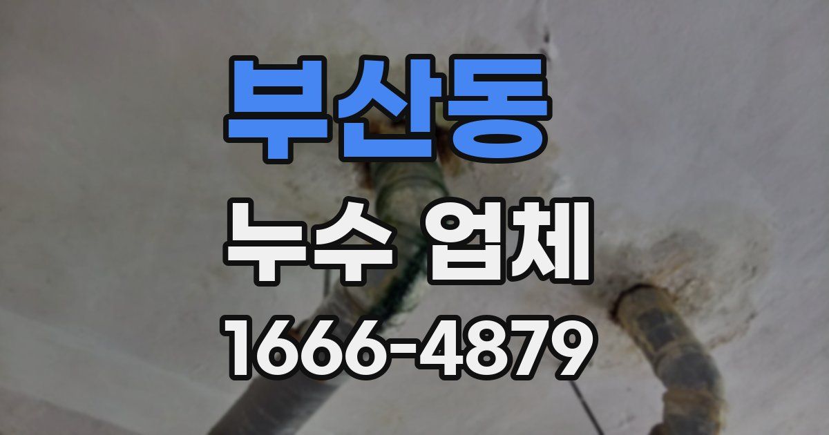 부산동 누수 업체