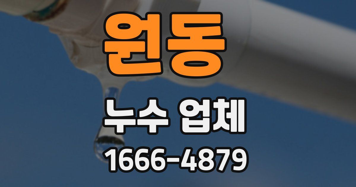 원동 누수 업체