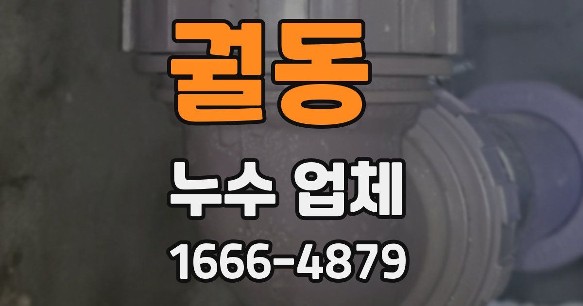 궐동 누수 업체