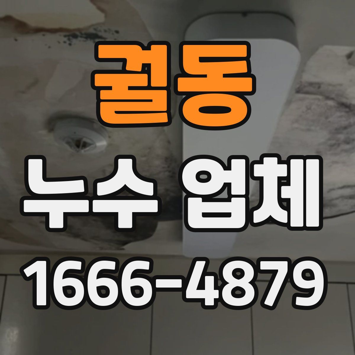 궐동 누수 업체