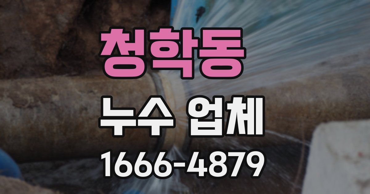 청학동 누수 업체