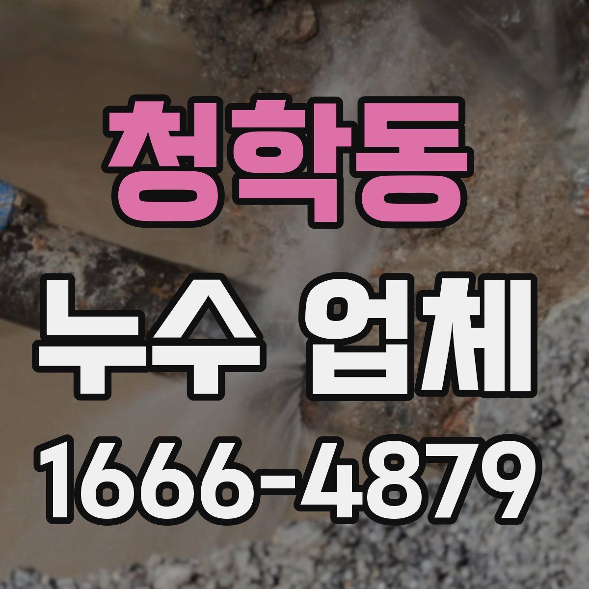 청학동 누수 업체