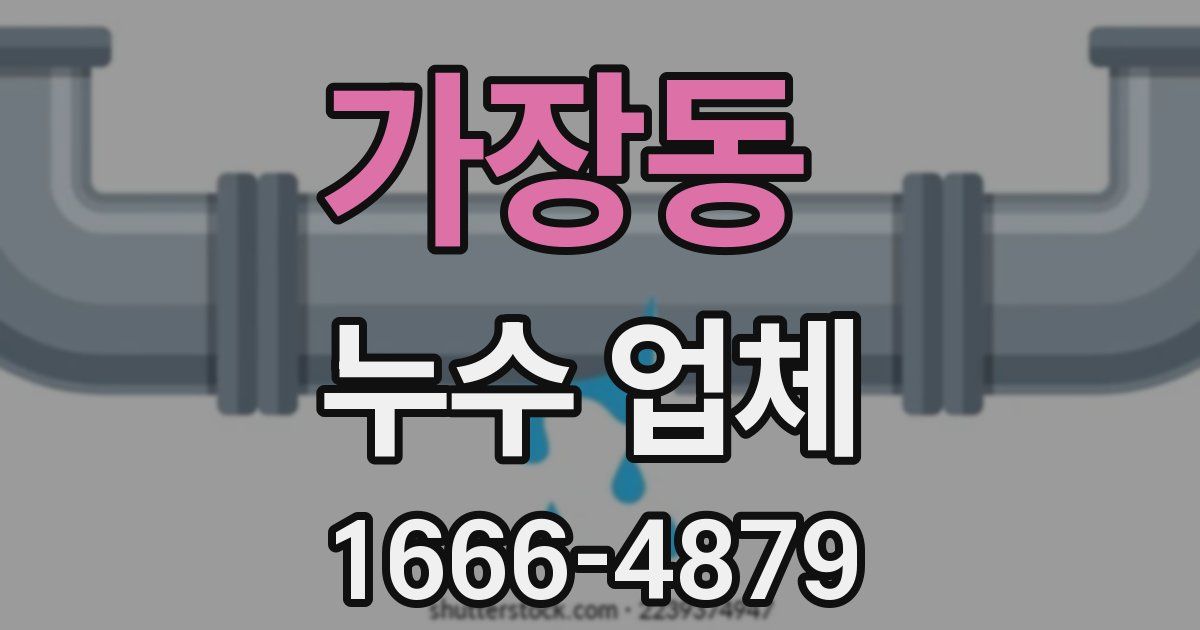가장동 누수 업체