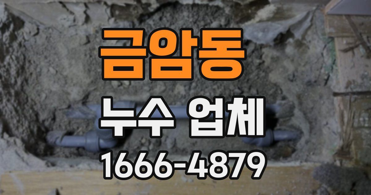 금암동 누수 업체