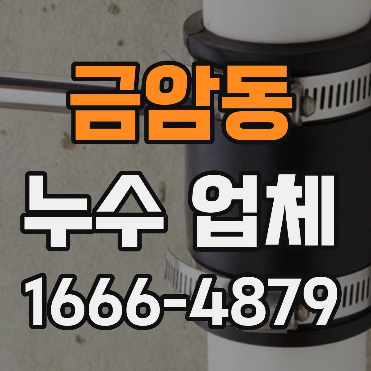 금암동 누수 업체