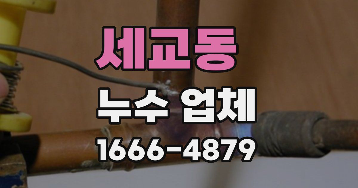 세교동 누수 업체