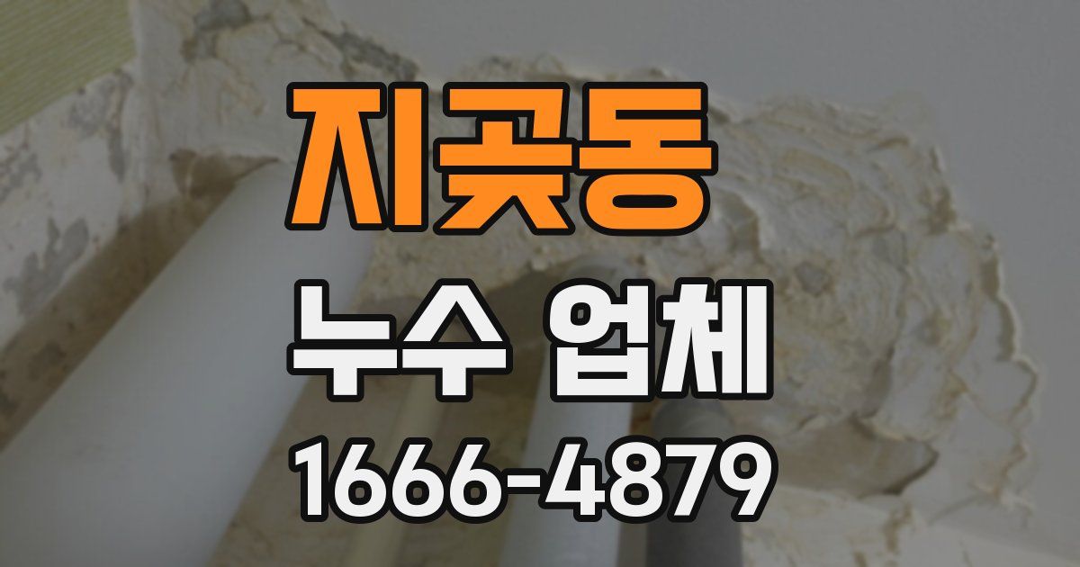 지곶동 누수 업체