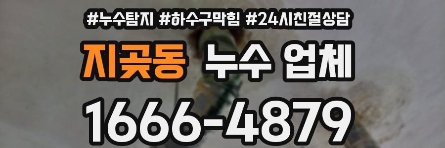 지곶동 누수 업체