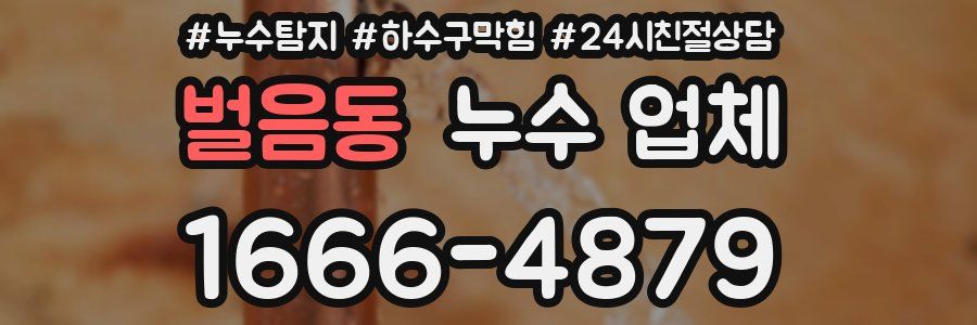 벌음동 누수 업체