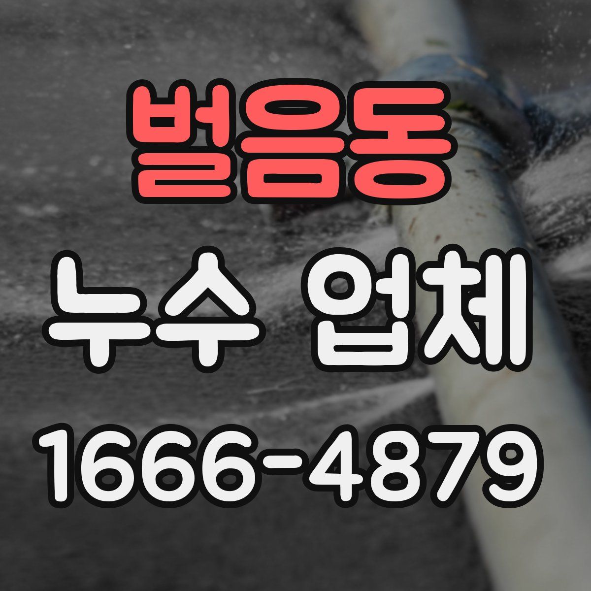 벌음동 누수 업체