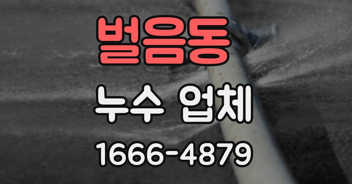 벌음동 누수 업체