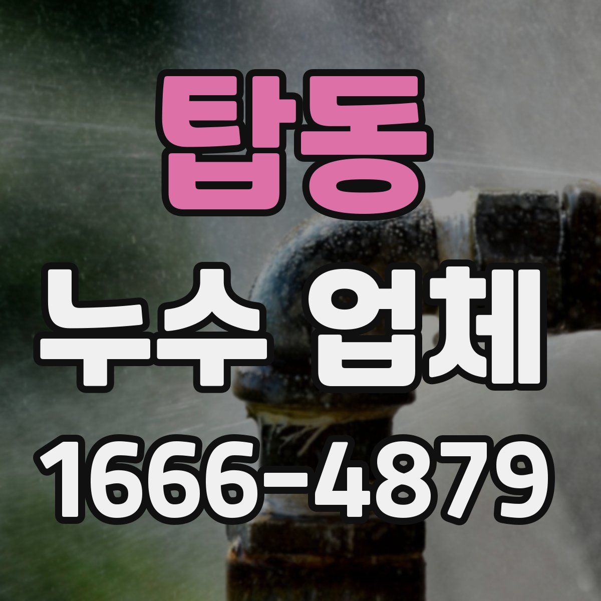 탑동 누수 업체