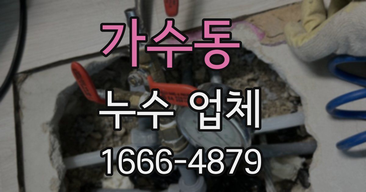 가수동 누수 업체