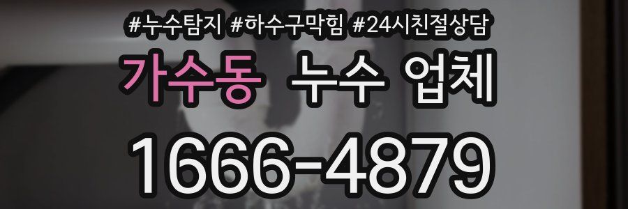 가수동 누수 업체