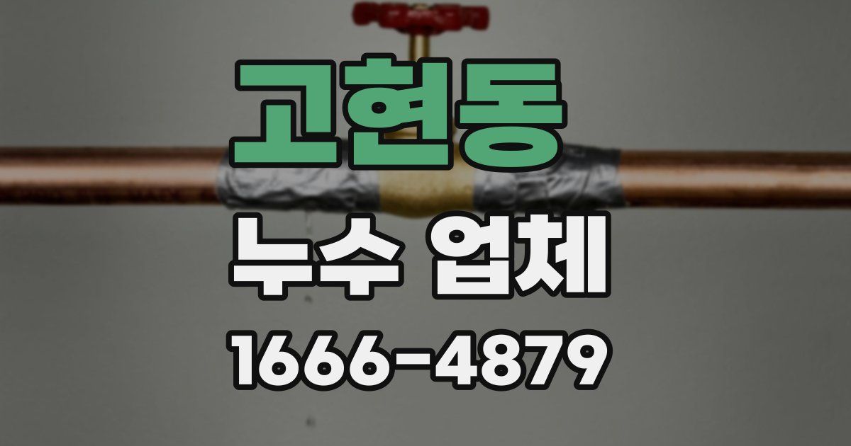 고현동 누수 업체