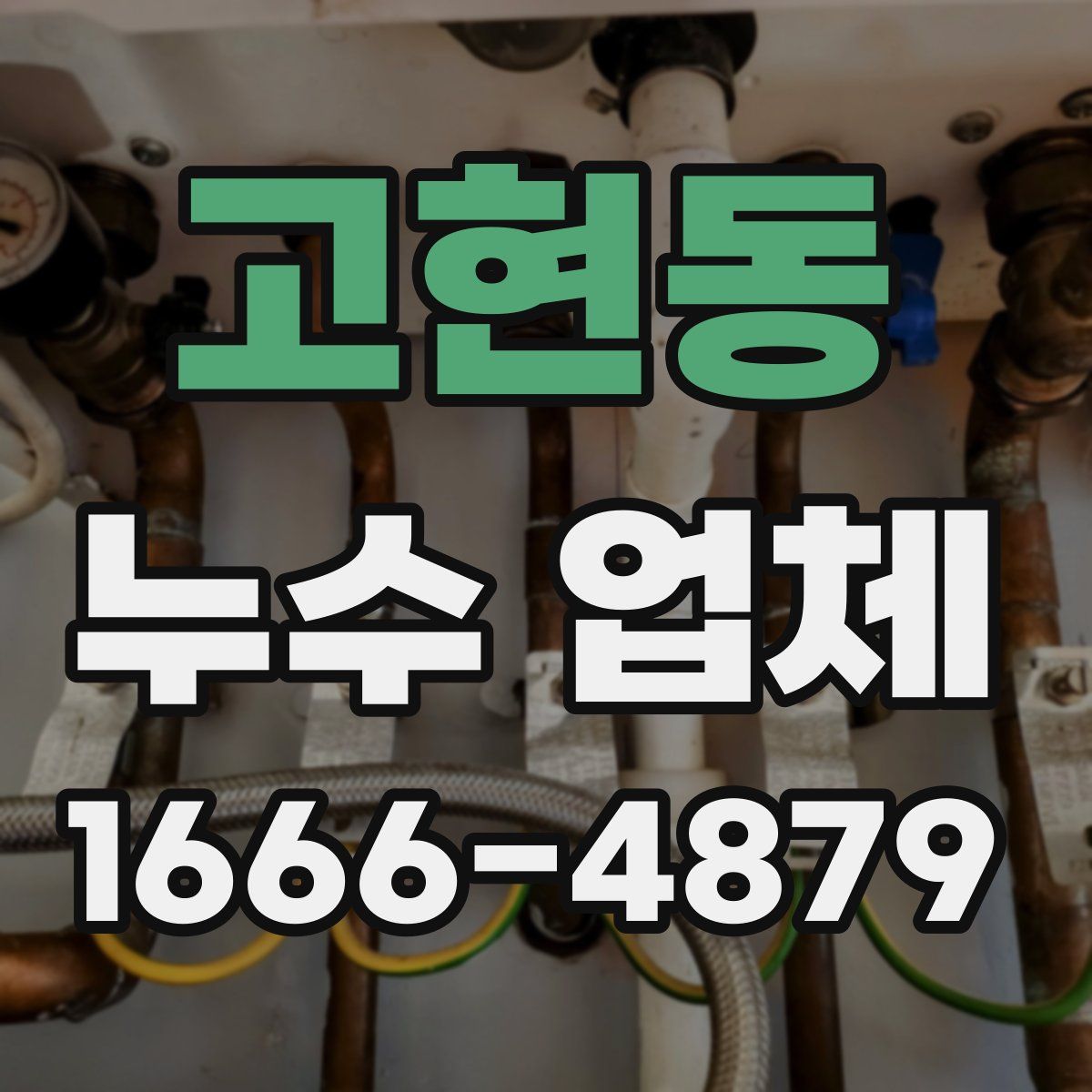 고현동 누수 업체