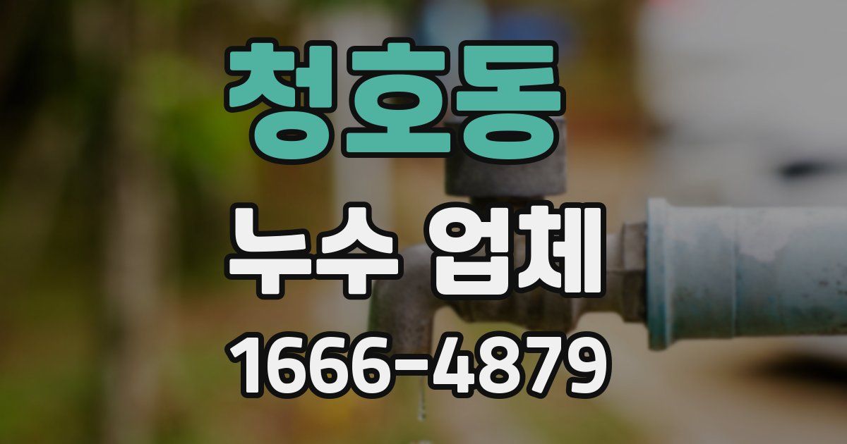 청호동 누수 업체