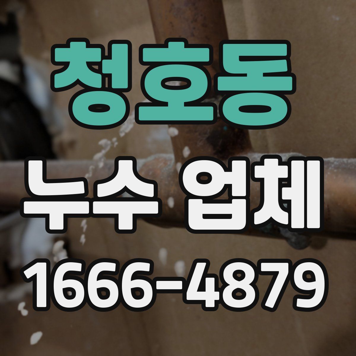 청호동 누수 업체