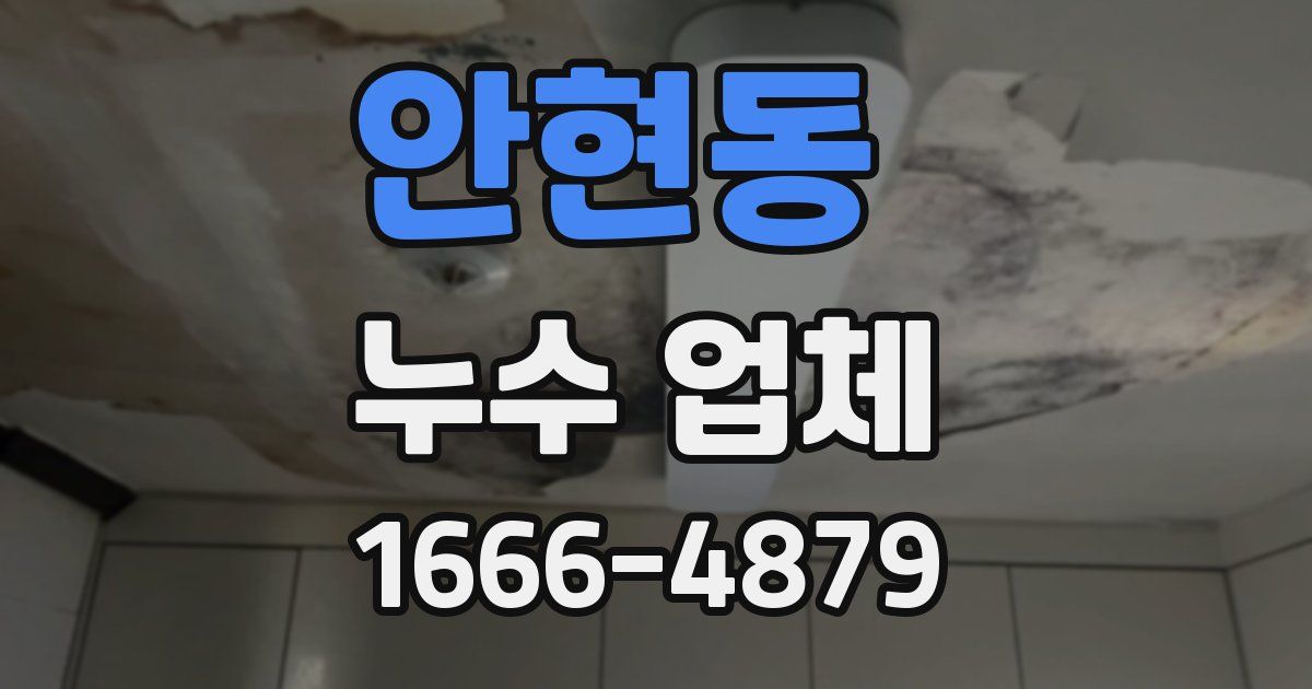 안현동 누수 업체
