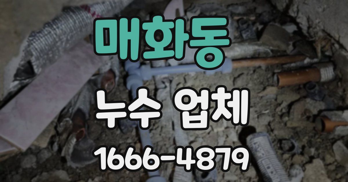 매화동 누수 업체