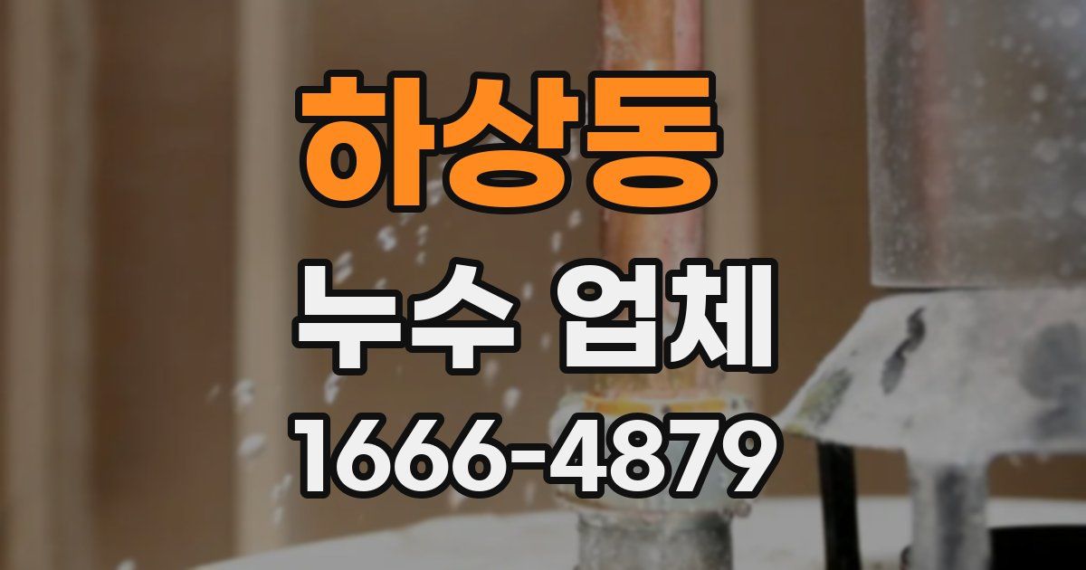 하상동 누수 업체