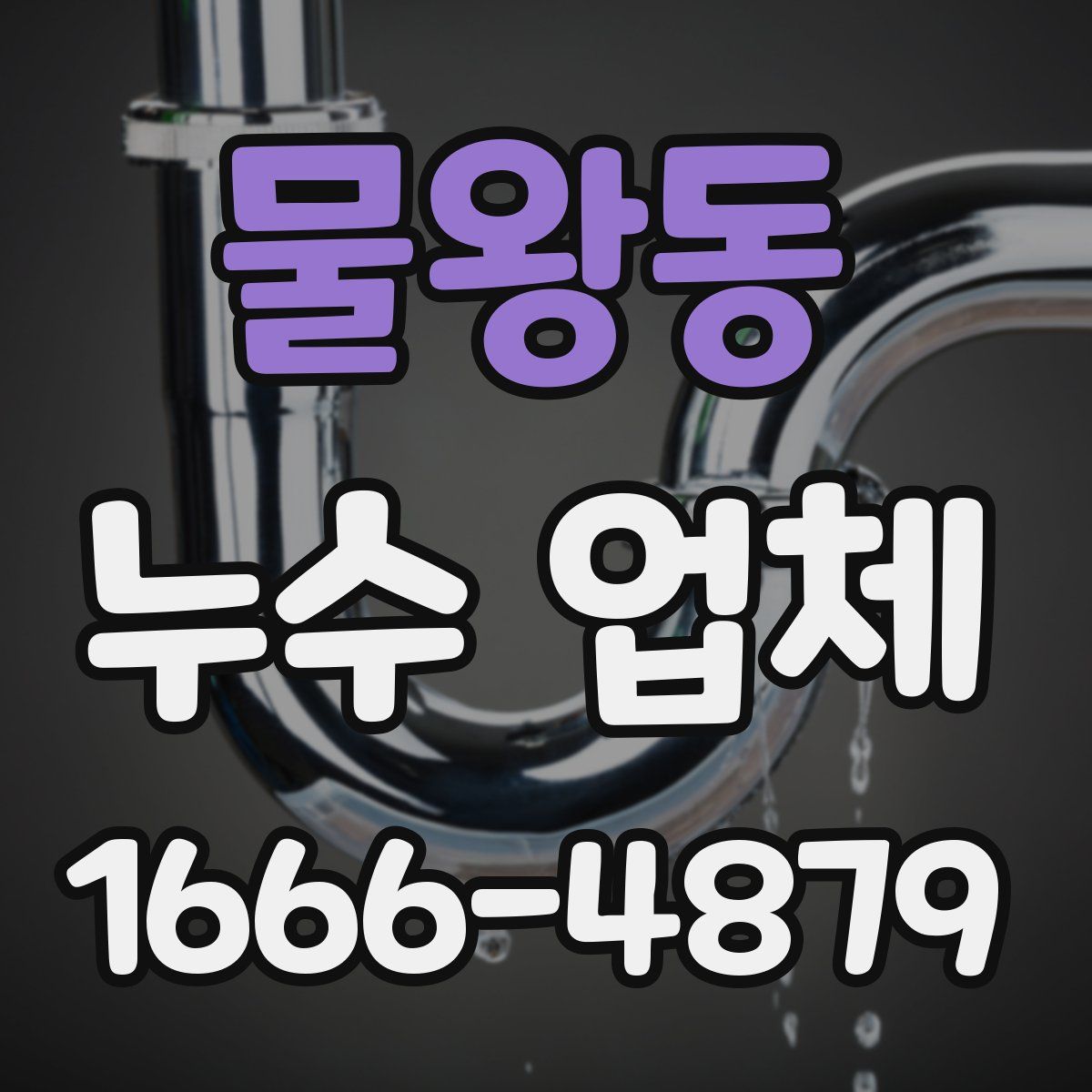 물왕동 누수 업체