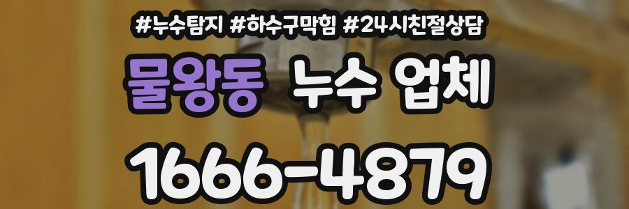 물왕동 누수 업체