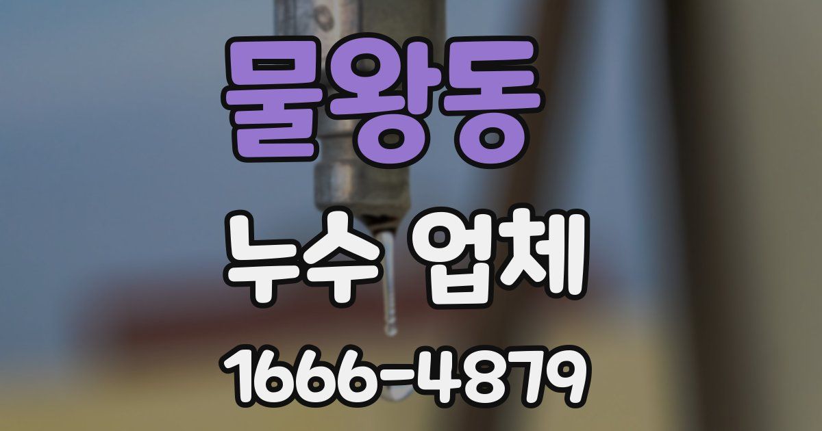 물왕동 누수 업체