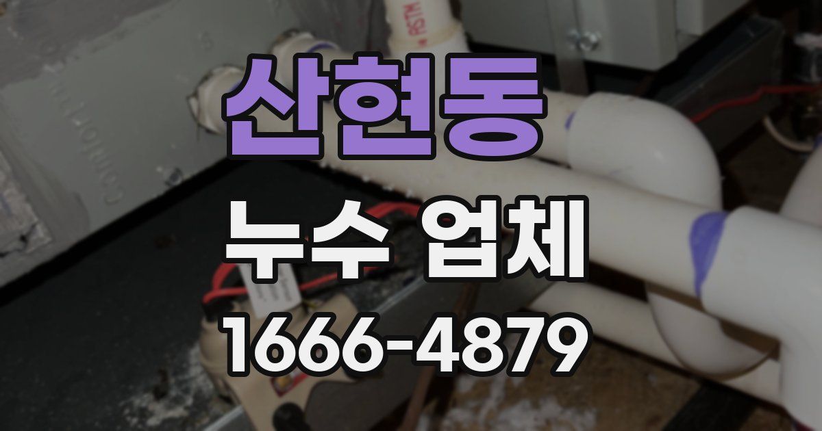 산현동 누수 업체