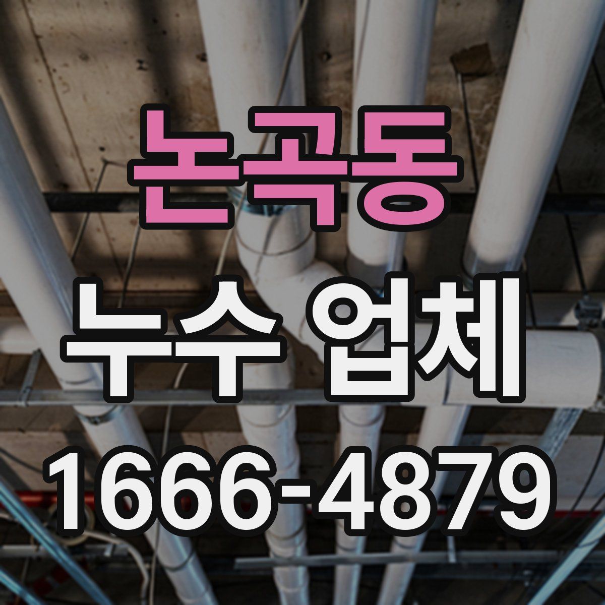 논곡동 누수 업체
