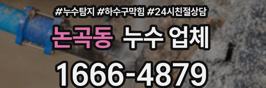 논곡동 누수 업체