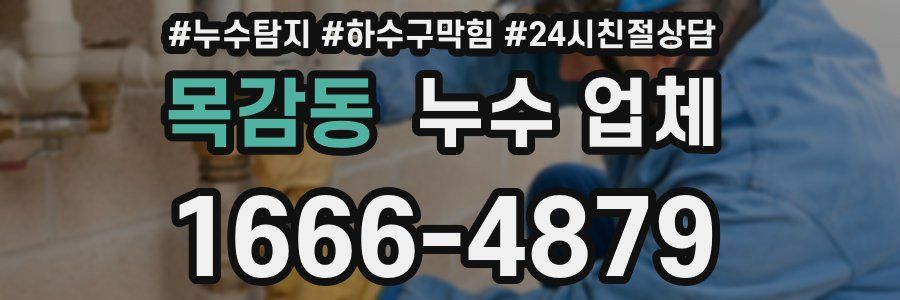 목감동 누수 업체