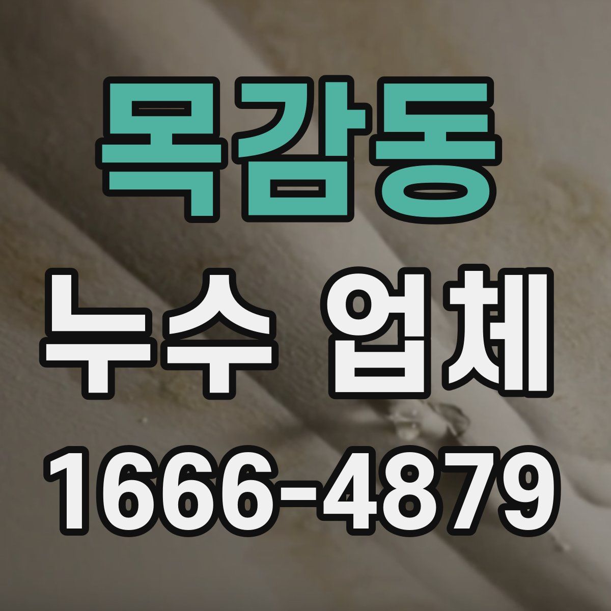목감동 누수 업체