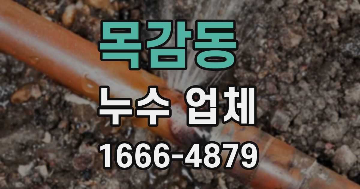 목감동 누수 업체