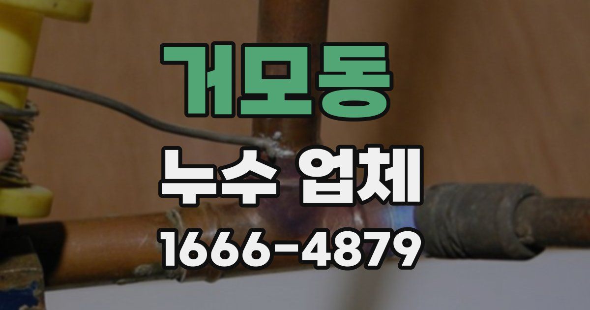 거모동 누수 업체