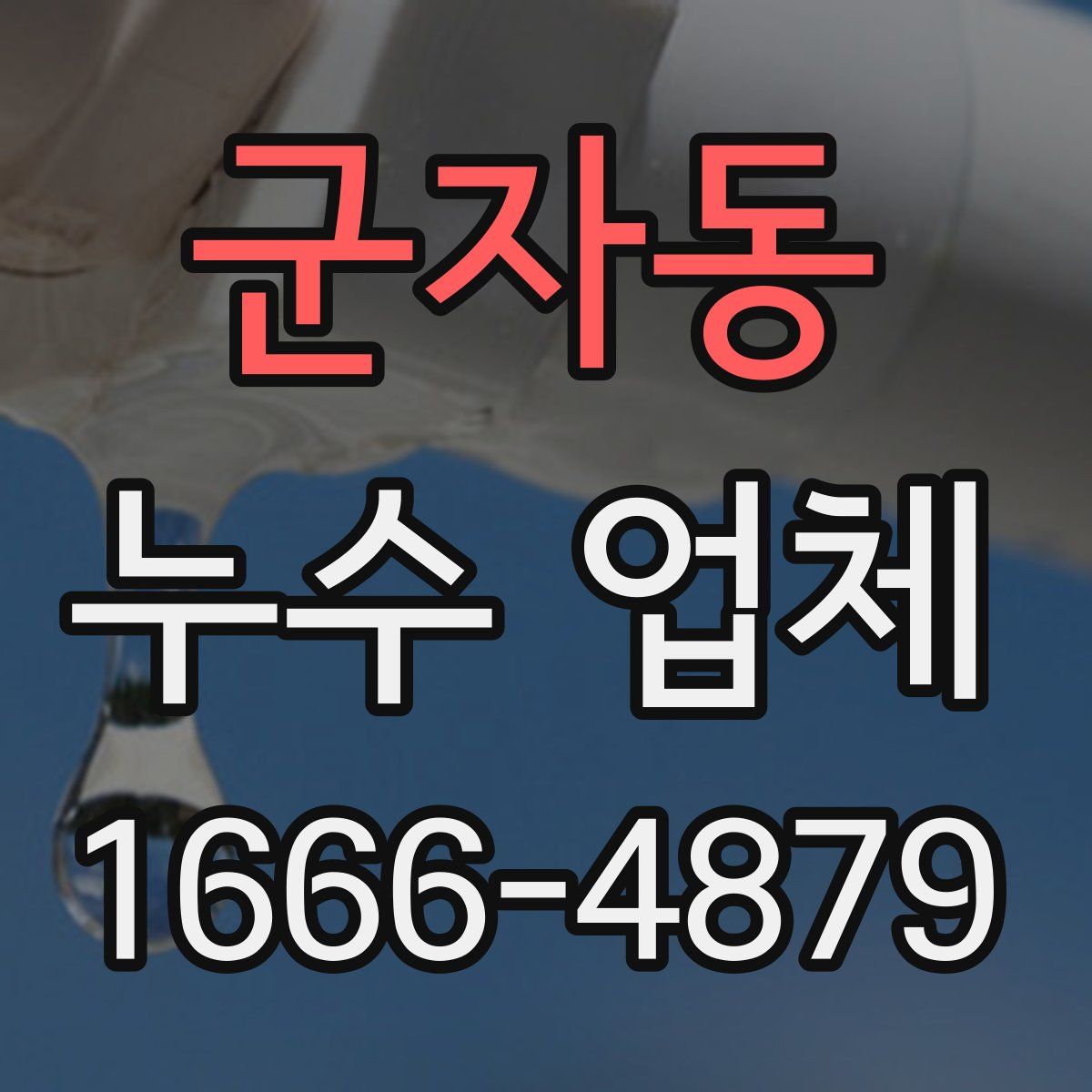 군자동 누수 업체