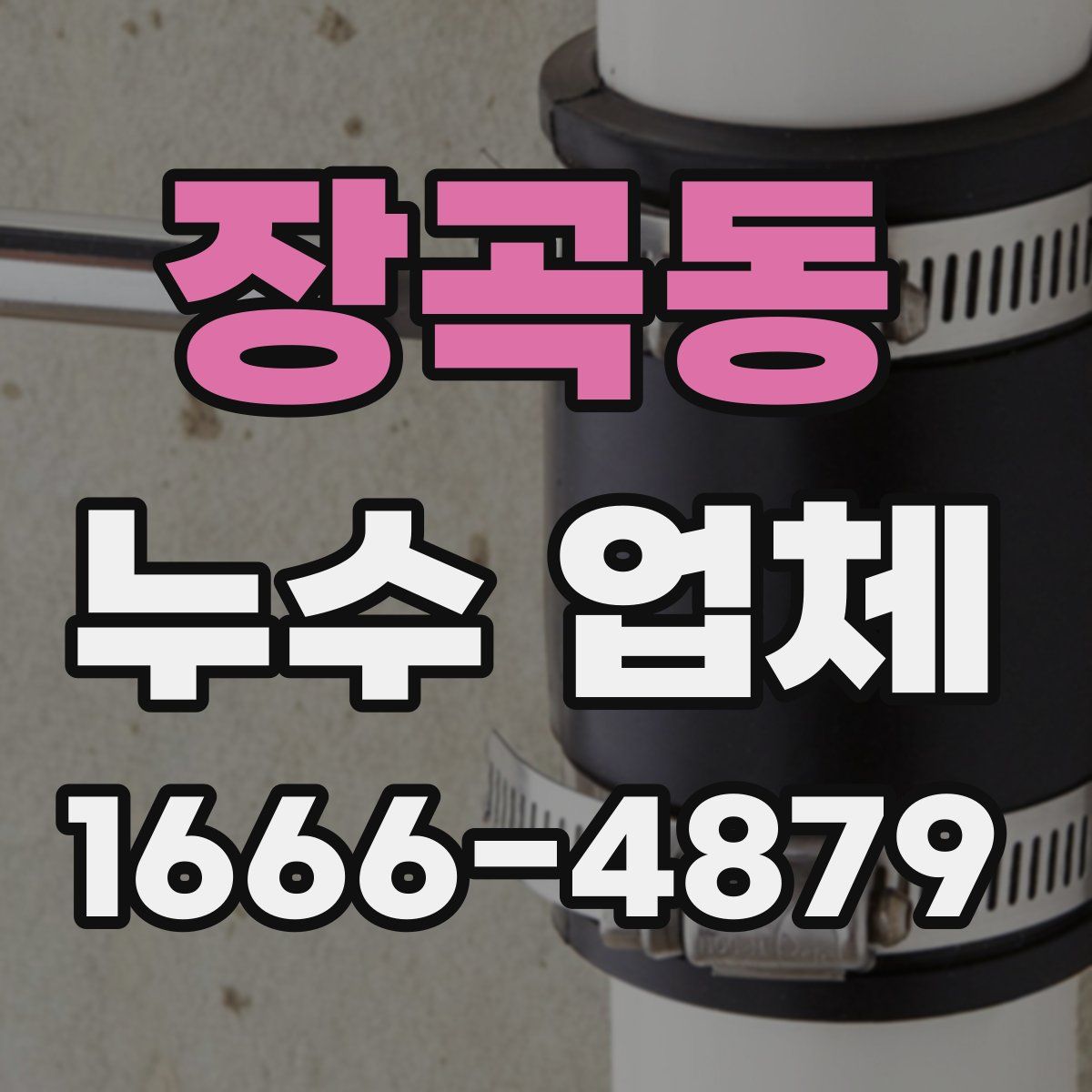 장곡동 누수 업체