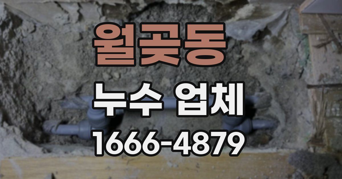 월곶동 누수 업체