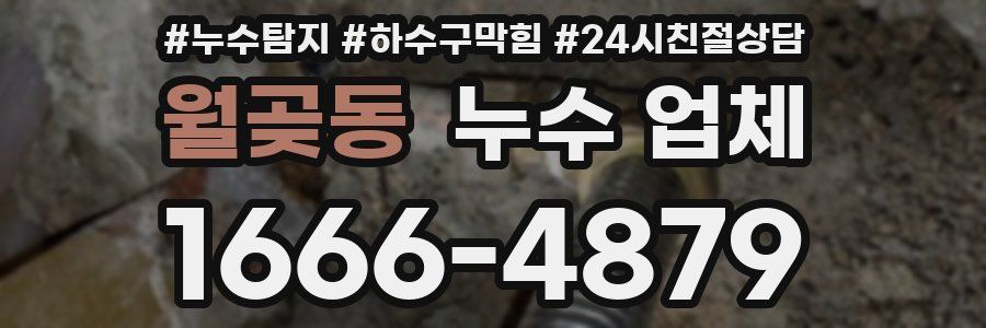 월곶동 누수 업체