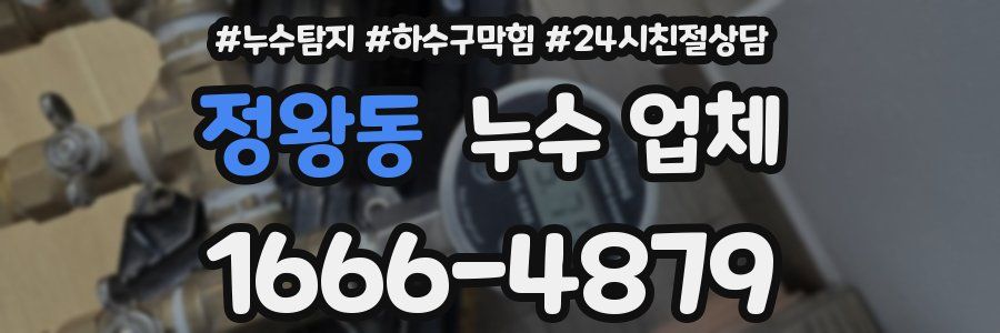 정왕동 누수 업체