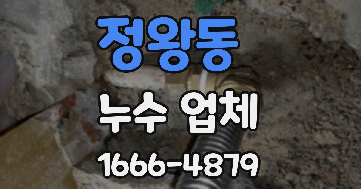 정왕동 누수 업체