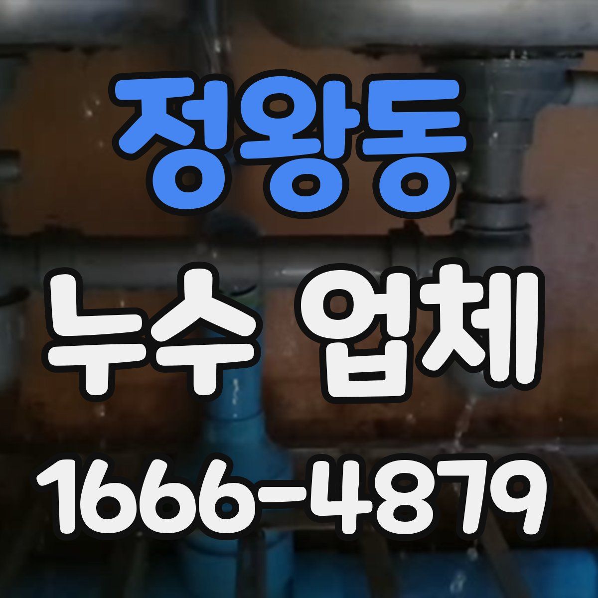 정왕동 누수 업체