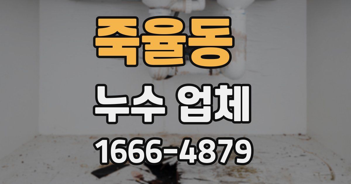 죽율동 누수 업체