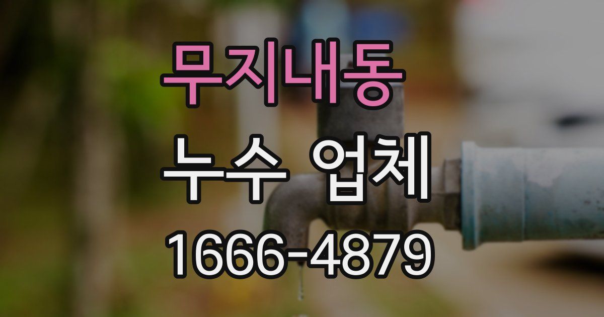 무지내동 누수 업체