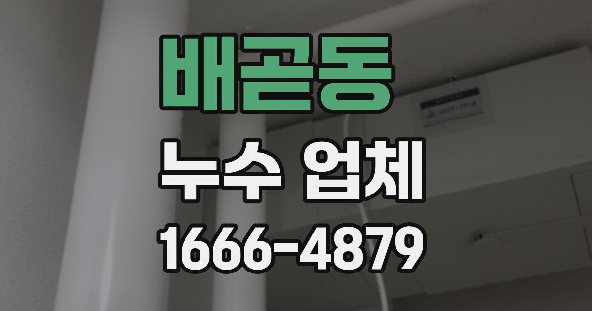 배곧동 누수 업체