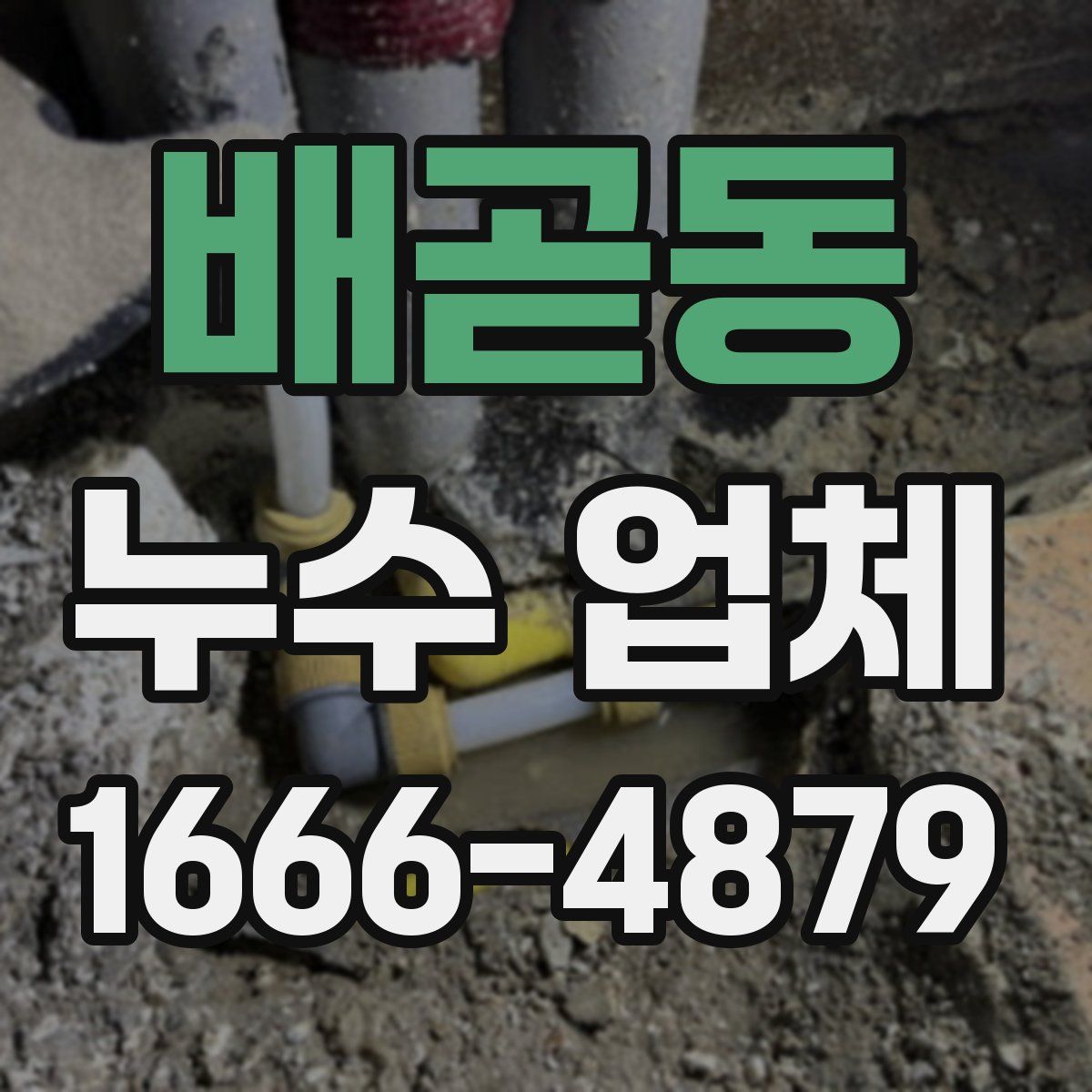 배곧동 누수 업체