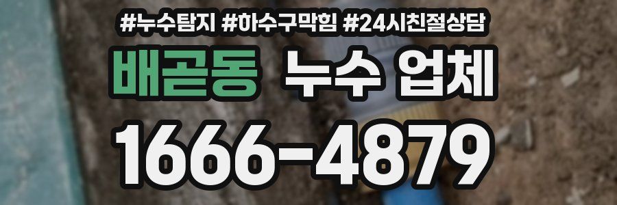 배곧동 누수 업체