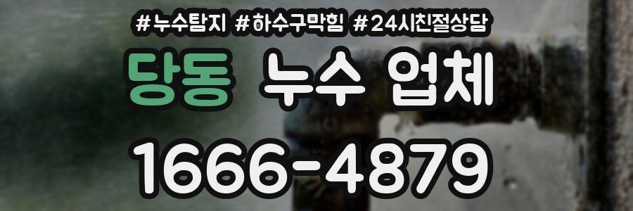 당동 누수 업체