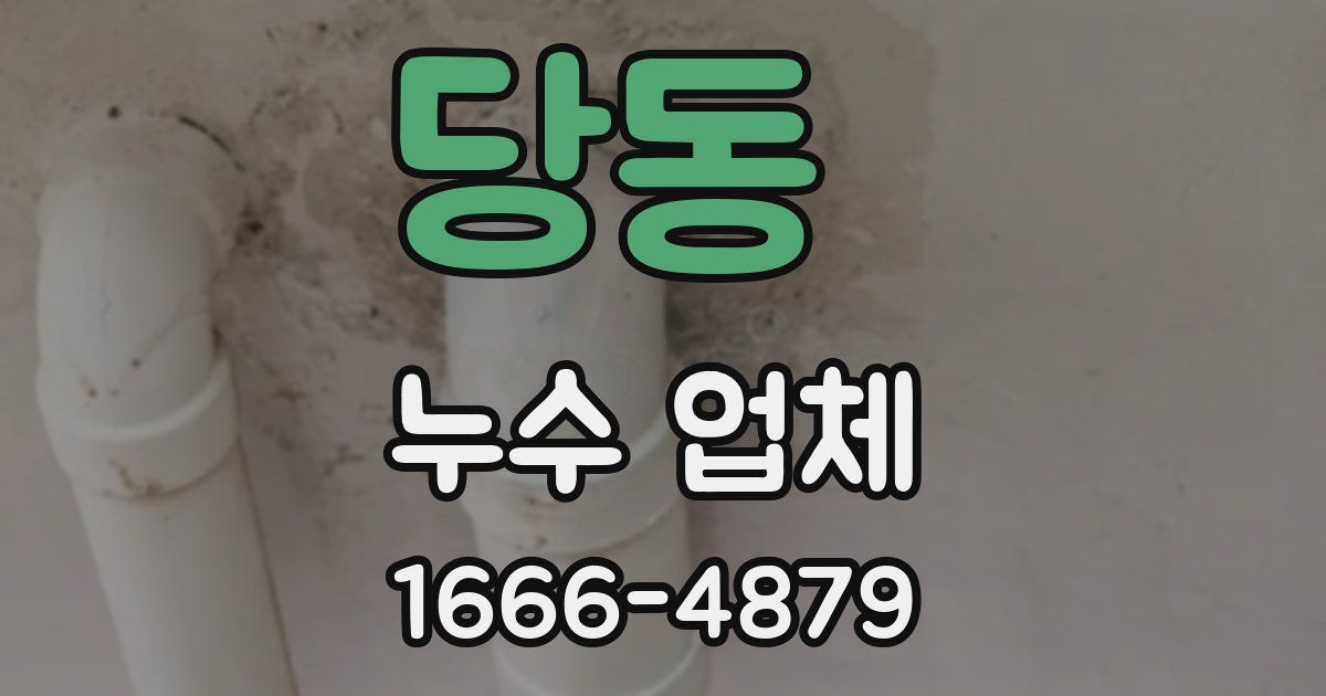 당동 누수 업체